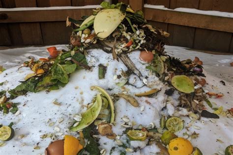 Winter Composting - How To Keep Composting In The Winter!