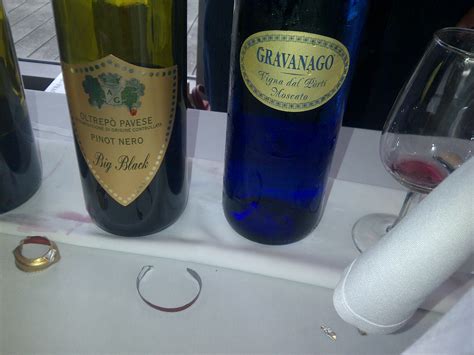 Tasting and loving the wines of Lombardy | Lorie Loves Wine