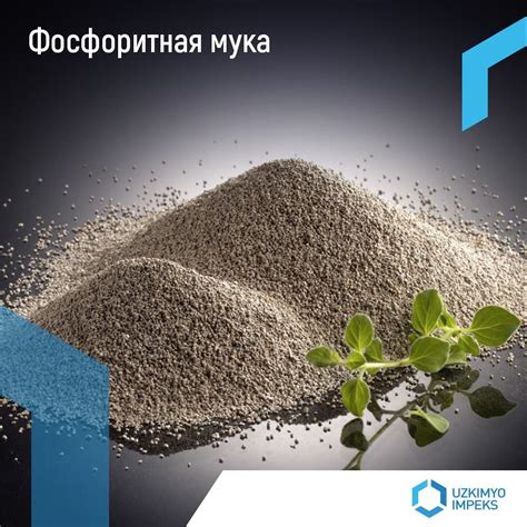 Фосфоритная мука