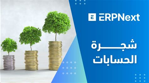 شجرة الحسابات شرح لـ افضل برنامج حسابات للمؤسسات الكبيرة والتوسطة