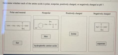 Solved Determine Whether Each Of The Amino Acids Is Polar