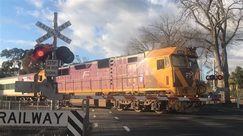 N Class V Line Test Napier Street Level Crossing Bendigo