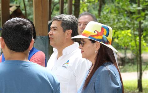 La Guacamaya De Honduras Por Qu Es El Ave Nacional Del Pa S