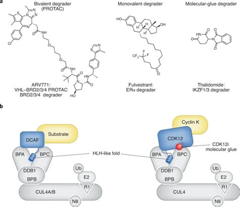 What Is Molecular Glue Understanding The Concept Uses And Benefits