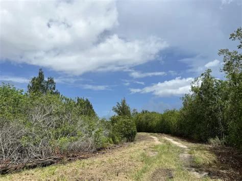 10 Best Trails And Hikes In Vero Beach Alltrails