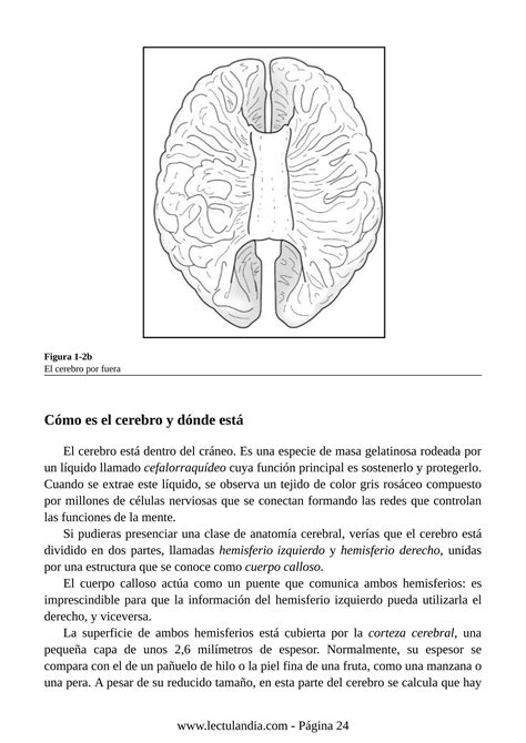 COMO FUNCIONA TU CEREBRO PARA DUMMIES Pdf