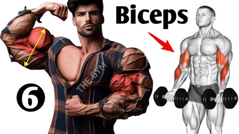 Effective Biceps Exercises For Wider Biceps Youtube