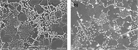 Sem Micrographs Of 05ni Added Sample A As Cast And B Solution