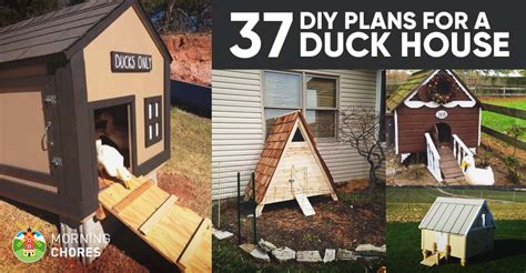 Free Diy Duck House Coop Plans Ideas That You Can Easily Build