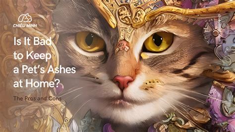 Is It Bad To Keep A Pets Ashes At Home Chieu Minh