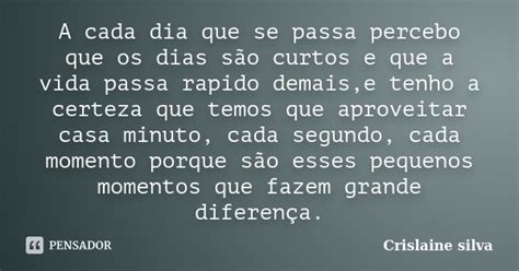 A Cada Dia Que Se Passa Percebo Que Os Crislaine Silva Pensador