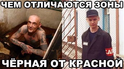Чем отличается красная зона от черной - YouTube