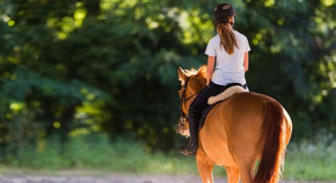 Randonnée à Cheval Que Savoir Préparer Sa Balade équestre