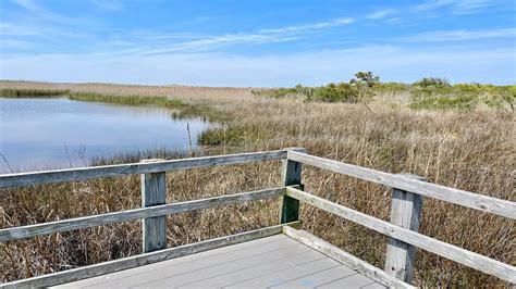 Back Bay NWR: Hike 4 Coastal Trails in Virginia Beach