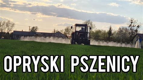 WIOSENNE OPRYSKI PSZENICY URSUS 3512 W AKCJI AGRO BRACIAKI YouTube