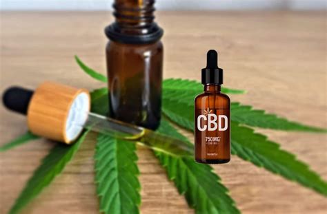 Cbd O Aceite De Cannabis Qué Es Beneficios Y Todo Lo Que Debes Saber