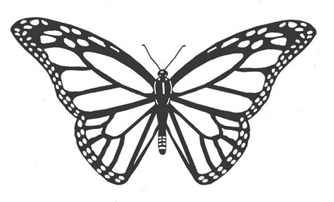 Free Monarch Butterfly Drawing Download Free Monarch Butterfly Drawing