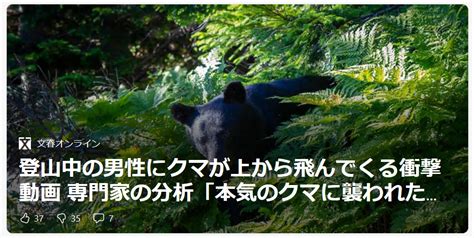 クマヒグマクマ被害クマ目撃クマ出没鹿石八千代 ダイはつ Vファイブ