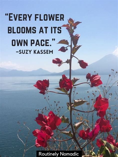 Short Flower Quotes 110 Amazing Flower Sayings Routinely Nomadic