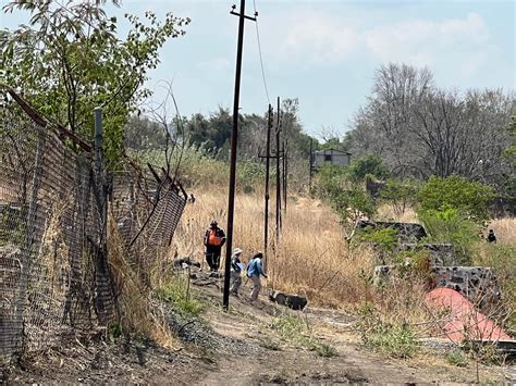 Hallan Cr Neo Y Huesos En Fosa Clandestina Y Concluye Colectivo Su