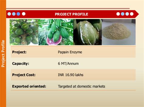 (PDF) Project Profile of Papain enzyme | Shamim Pappu - Academia.edu