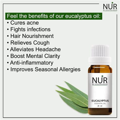 Eucalyptus Essential Oil – Anti-Bacterial Formula & Treats Acne, Acne ...