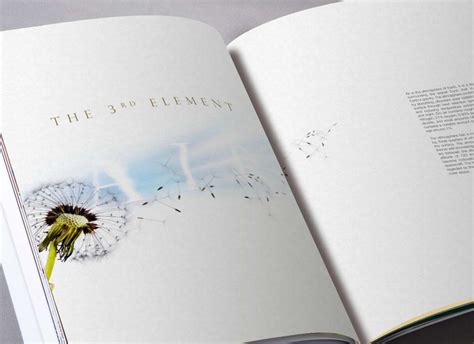 Steps Company Profile Five Element Behance