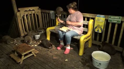 Angie Alone With The Raccoons Youtube