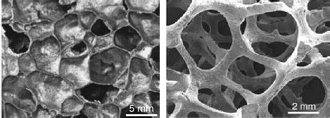 Micrographs Of Left A Closed Cell Foam And Right An Open Cell Foam