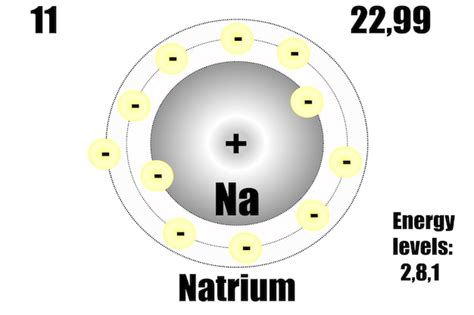 Tomo De Sodio Con Niveles De Masa Y Energ A Vector Premium