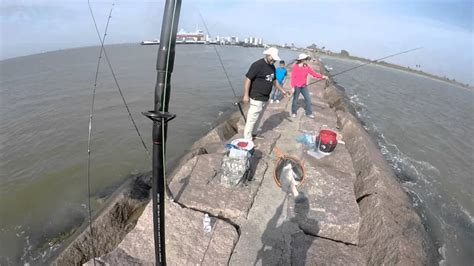 Galveston Ferry Jetty Fishing Youtube