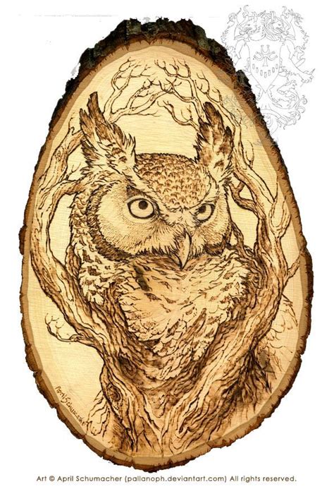 Wood Burning Pyrography Owl Wood Burning Stencils Wood Burning Art