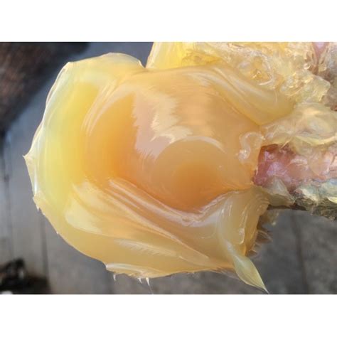 Lithium Grease - Application: Automotive at Best Price in Indore ...