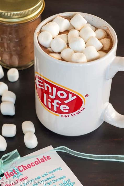 Vegan Hot Chocolate Mix Recipe Perfect For Gifting Flippin Delicious