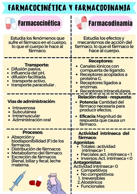 Diferencia Entre Farmacocin Tica Y Farmacodinamia Diferenciador The