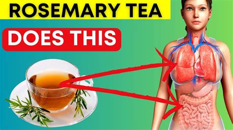 Reasons To Drink Rosemary Tea Daily An Impressive Healing Remedy