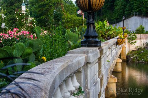 Absolutely Beautiful Places For Spring Blooms In The Blue Ridge