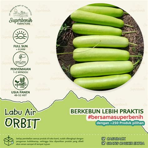 Jual Biji Benih Labu Air Orbit F Labu Blonceng Panjang Shopee