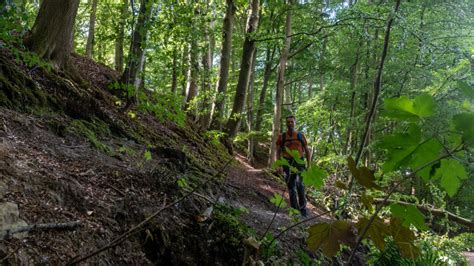 Auf dem E1 von Bad Schwartau nach Klein Grönau EntdeckerGen