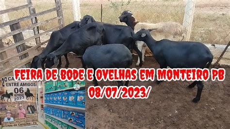 Feira De Caprinos E Ovinos Em Monteiro Pb Youtube