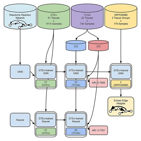 Researchers Build On Human Genome Project Advances