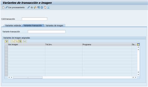 Crear Transacción Z Y Variante Personalizada En Sap