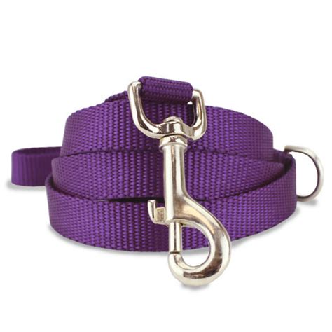 Purple Nylon Dog Leash