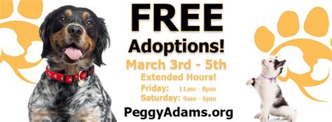 Peggy Adams Animal Rescue League - West Palm Beach | Service - Animal ...