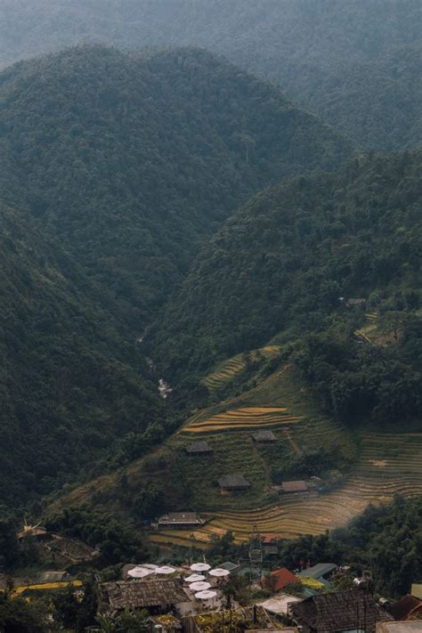 Everything You Need to Know About Sleeper Buses in Vietnam - Passports ...