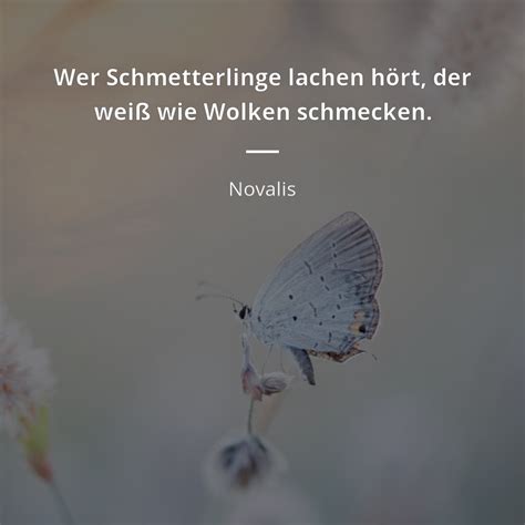 Novalis zitat Wer Schmetterlinge lachen hört der weiß wie Wolken