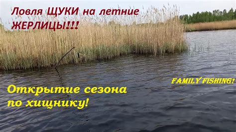 Ловля ЩУКИ на летние ЖЕРЛИЦЫ! Окрытие сезона по хищнику! ЧАСТЬ 1. - YouTube