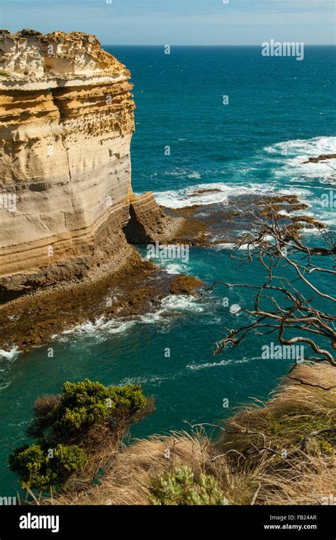 Razorback At Loch Ard Gorge Great Ocean Road Victoria Australia