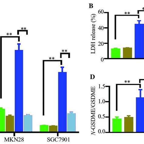 Caspase Gsdme Pathway Contributes To Chaetocin Induced Pyroptosis In