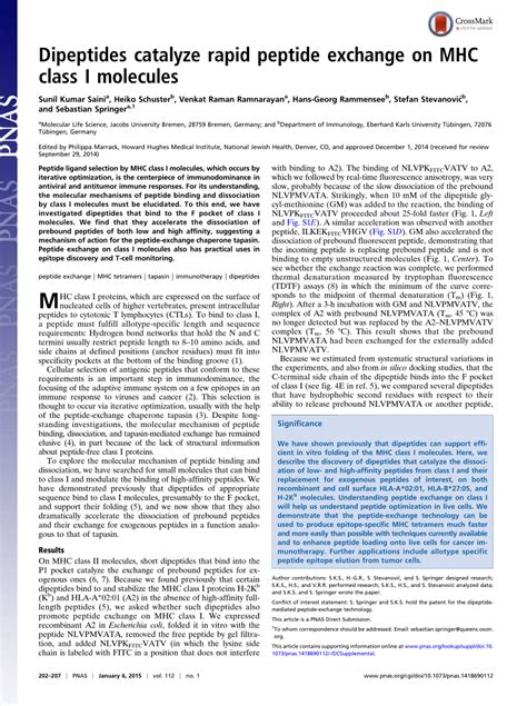 PDF Dipeptides Catalyze Rapid Peptide Exchange On MHC Class I Molecules